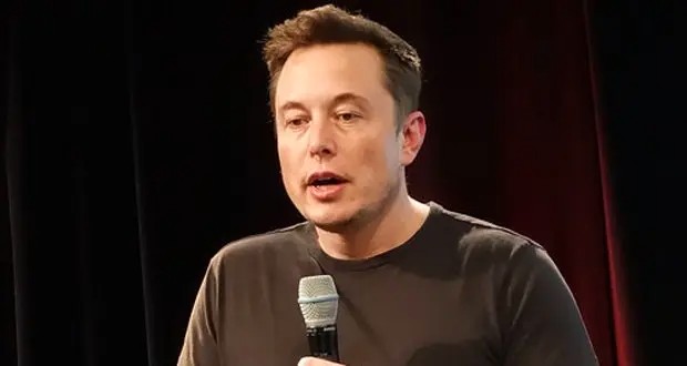 Facts about Elon Musk