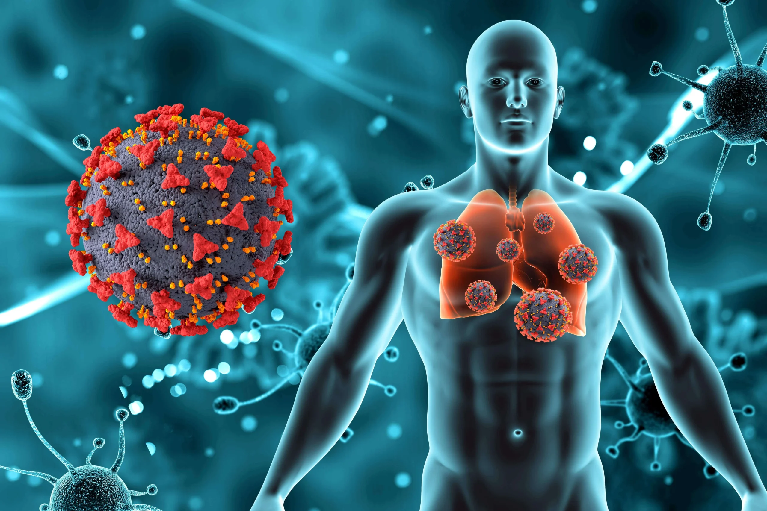 human-metapneumovirus